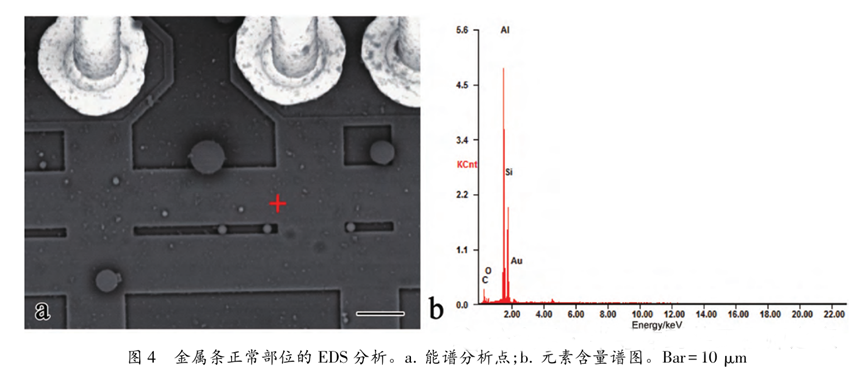 超聲波清洗暗藏"芯片密碼"：二氧化硅顆粒撞擊機理揭秘